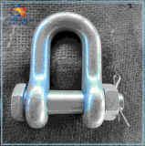 Galvanized Us Type G2150 Dee Shackle with Safety Bolt