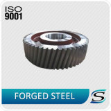 OEM/ODM Customized Steel Forging/Forged Gear