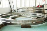 Seamless Rolled Ring (PKZD6)