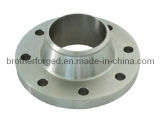 Customized Welding Neck Stainless Steel Flange