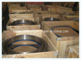 Forged Flange for Heavy Industry