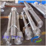 Ss316 304 Forged Stainless Steel Shaft
