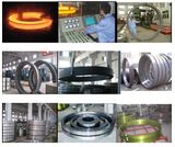 Jiangyin Fangyuan Ringlike Forging & Flange Co.,Ltd