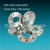 ANSI Forged Stainless Steel Flange