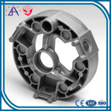 Professional Custom Aluminum Die Casting Car Parts (SY0120)