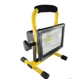 20W Portable LED Floodlight Manufacturer with Good Price