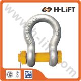 Screw Pin Anchor Shackle Bow Type (SH01)