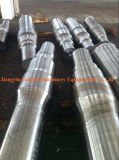 Alloy Steel Stainless Steel Forging Shaft