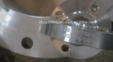 Hastelloy C276 Forged Flanges, (UNS N10276, 2.4819, Alloy C276) , C276 Pipe Flanges, C276 Steel Flanges, C276 Forging Flanges