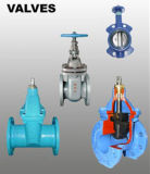 Castings and Forged (Valves)