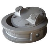 Tl053 Ductile Iron Sand Casting for Valve