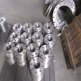 Supply Forged Flange with Favorable Price