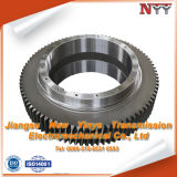 Stainless Steel Spur Gear for Hardware Products Processing Machinery