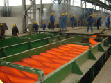 Hot Rolled Strip and Plate Mill