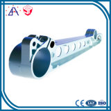 High Quality OEM Aluminum Casting Parts (SY0614)
