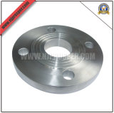 Standard Ss 316 Flanges (YZF-F134)
