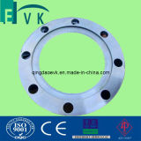 Stainless Steel 304 316 Flat Face/Plat Flange