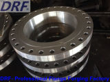 Stainless Steel GOST Flange (GOST12821 DN250)