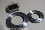 Stainless Steel Flange (P32)