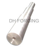 forged shaft with step