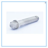 Cold Forging Parts Special Screws Anchor Bolt by China Supplier