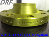Yellow Painted Welding Neck Flange, Pipe Flange, Forging