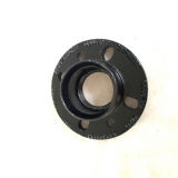 Ductile Iron Casting Flange for Water Pump (0266)