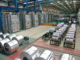 Aluminum Coil Alloy for Coated Color 1050 1060 3003 5052