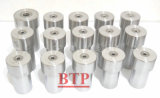 Tungsten Carbide Cold Forging Tooling for Screw (BTP-D143)