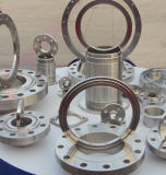 316L Stainless Steel Flange with Welding Neck Type