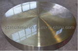 Stainless Steel Forgings (HM-FS-03130035)