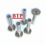 Die Casting Cold Forging Mould Accessories Tube (BTP-A062)