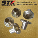 Stainless Steel Turned Parts (STK-C-1035)