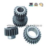 OEM Forging Bevel Gear with Machining
