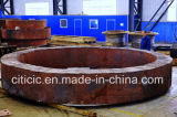 Large Sized Forging Parts Certified by BV, SGS, ISO9001: 2008