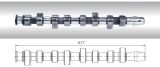 Camshaft for Ford Vw and Seat 028.109.101f