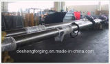 Jiangsu Desheng New Material Forging Co., Ltd.