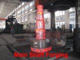 Free Forging Stainless Steel Flange (Q345/20/35/45/20Mn/50MnA105NC22.8/P250GHA350LF2/TstE355)