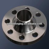 Forging Stainless 0Cr18Ni9 Steel Flange