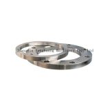 Forged Stainless Steel Plate Flange