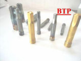 All Kinds of Carbide Cold Forging Die Rod (BTP-R283)