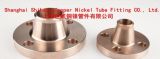 Cuni 90/10 Copper Nickel Flange
