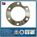 Flange Gasket for Pipe Fitting