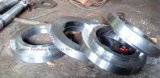 316ti Six Angle Round Steel Forging Flange
