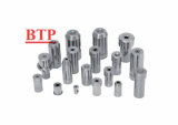 Tungsten&Alloys Carbide Cold Forging Mould for Fasteners (BTP-D183)