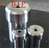 2014 New Product Carbide Cold Heading Die for Screws (BTP-D069)