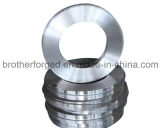 Alloy Steel Forging/Forging Parts