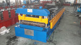 Colored Double Panel Forming Machine (YX)