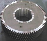 Forged Spur Gear