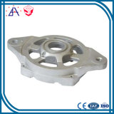Hot Sale ISO9001 Die Casting (SYD0313)